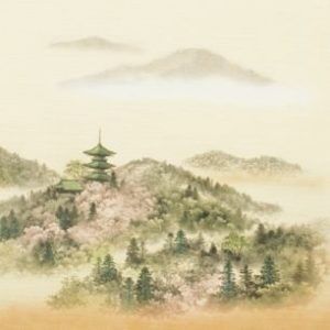 希望に寄り添う豊富なデザインと素材