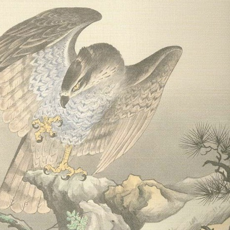 希望に寄り添う豊富なデザインと素材